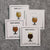 BEER enamel pin tulip glass set. Beer badge flight of four. One of each colorway